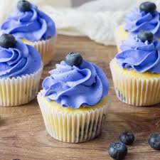 Cupcake Blueberry